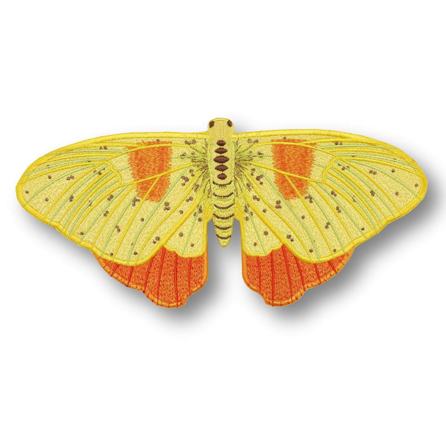 Orange Barred Butterfly #30- Acrylic Mount