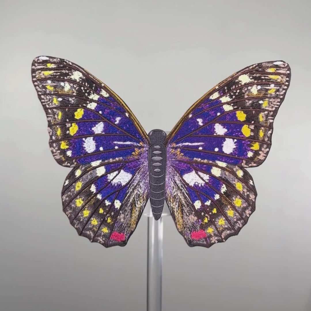 Load video: Emperor Butterfly