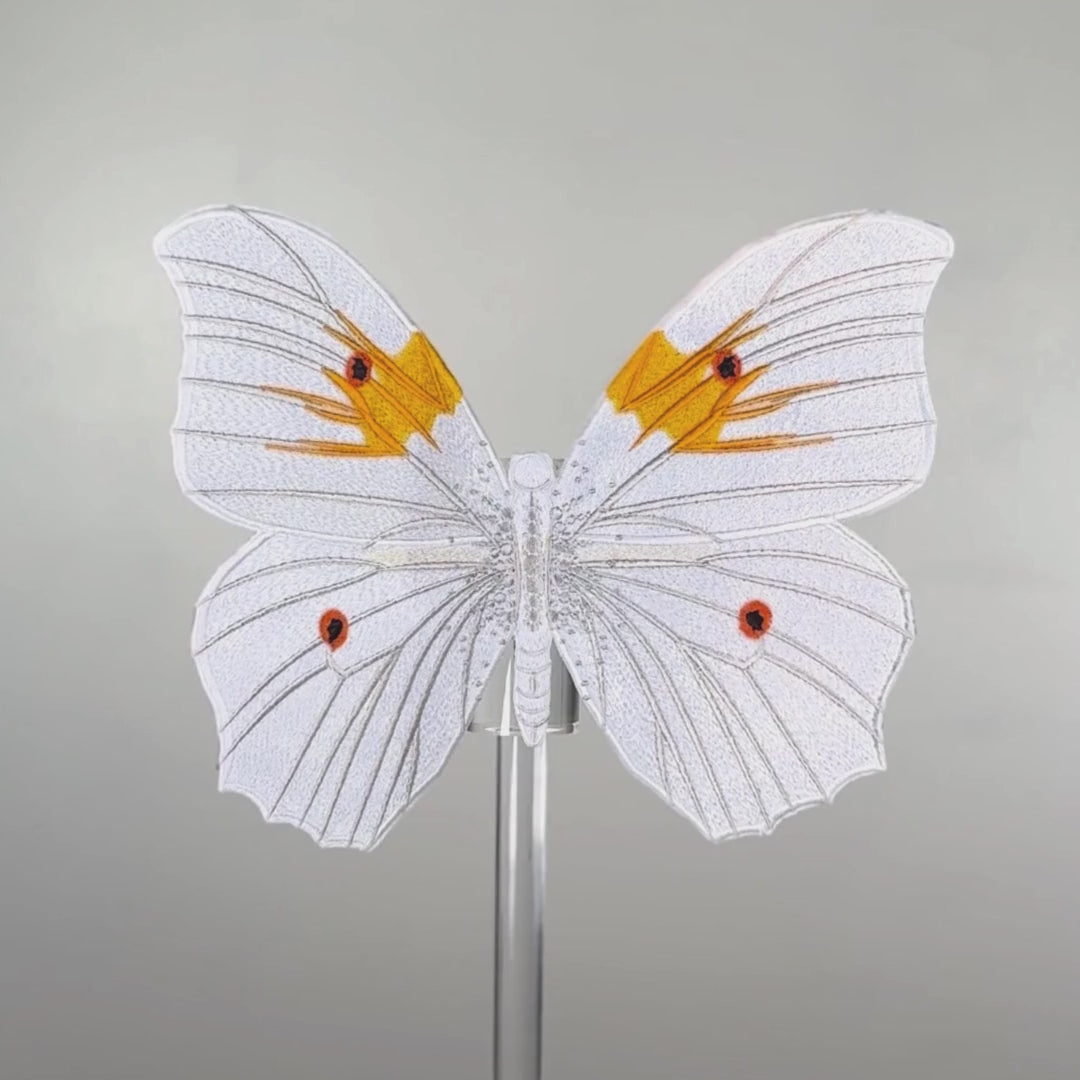 Load video: White Angel Butterfly