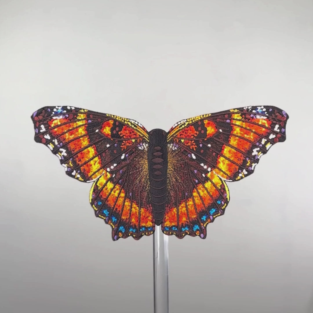 Milbert's Tortoiseshell Butterfly — Anita Goodesign