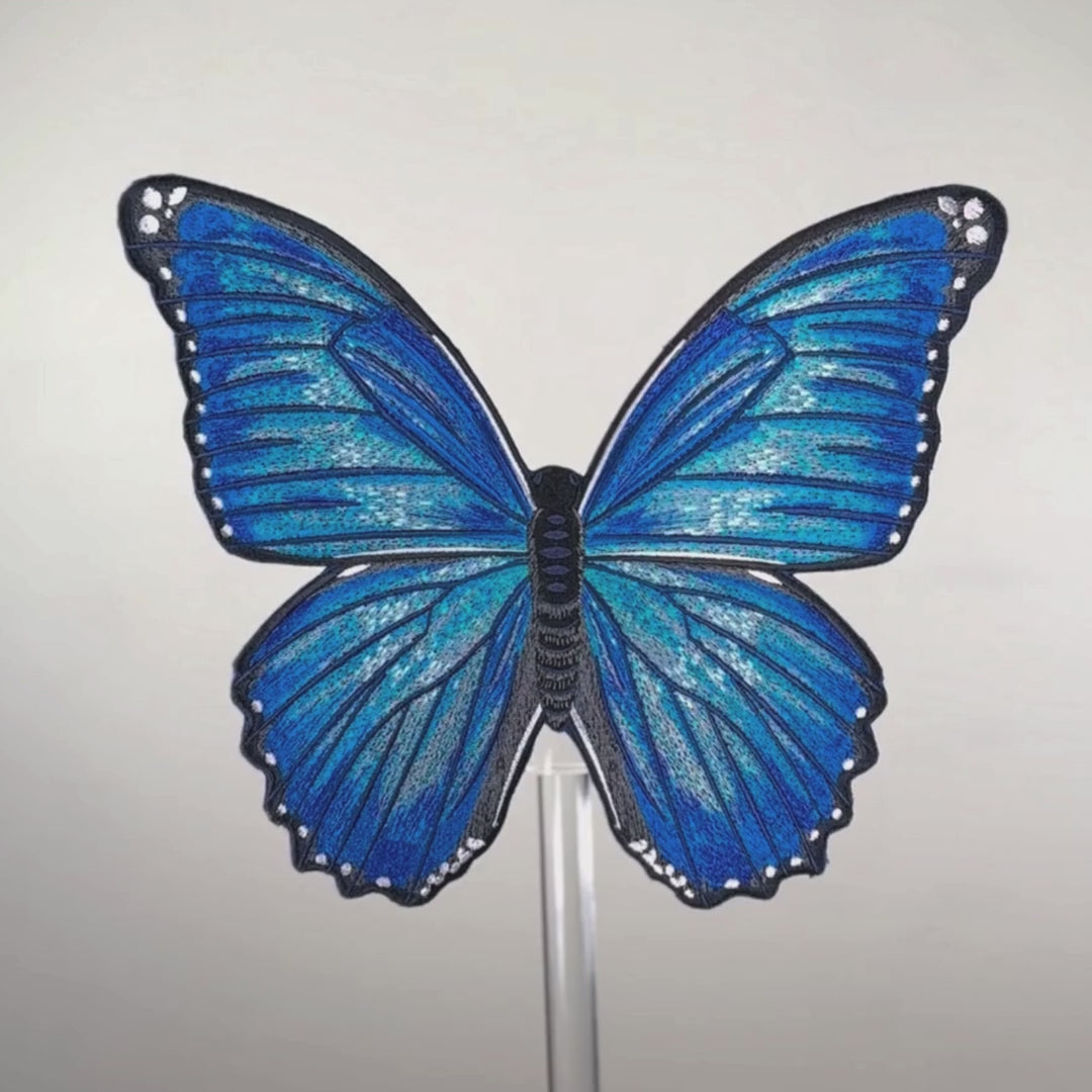 Load video: Morpho Butterfly