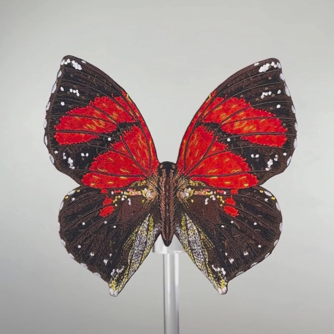 Ecuador Butterfly — Anita Goodesign