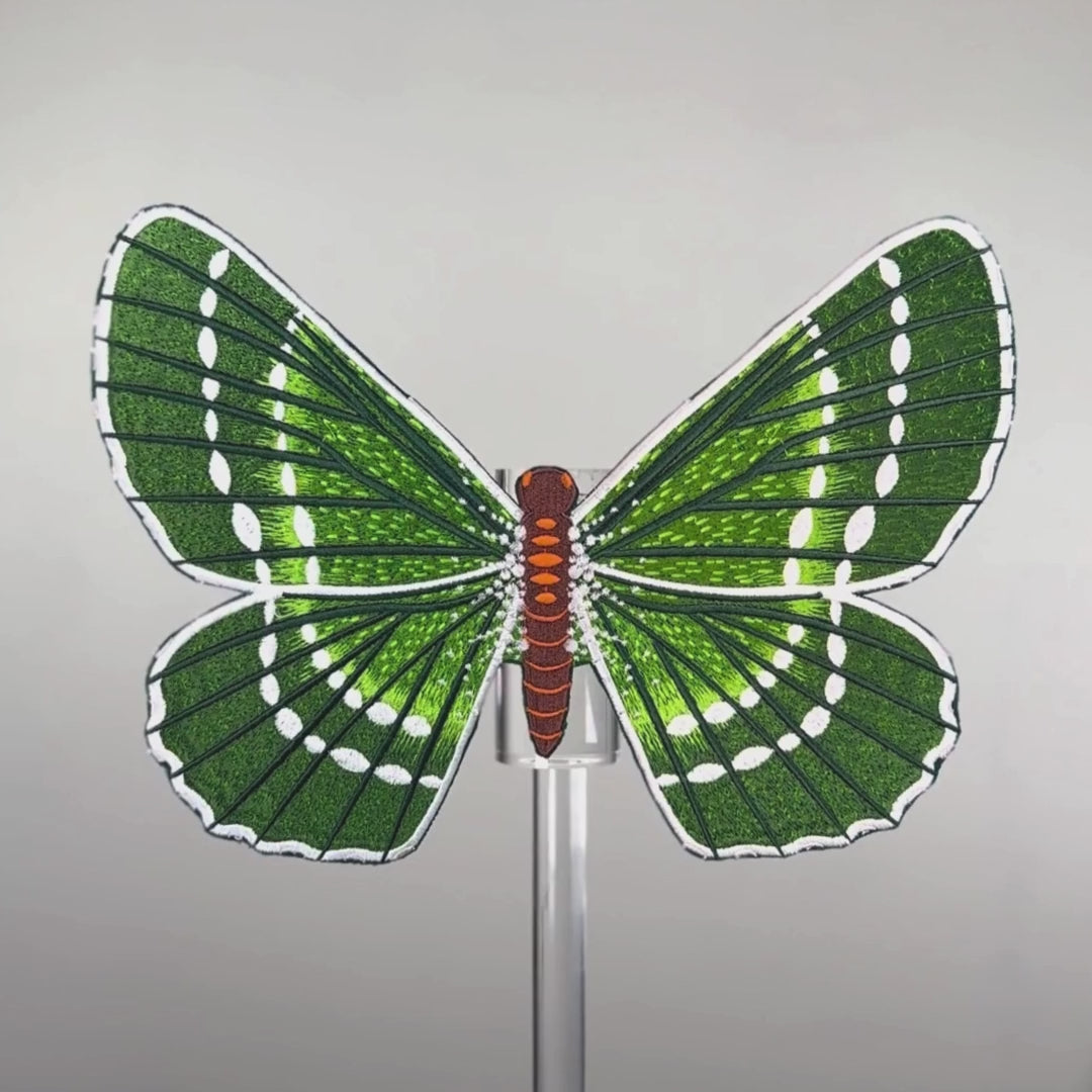 Green Papillon Butterfly — Anita Goodesign