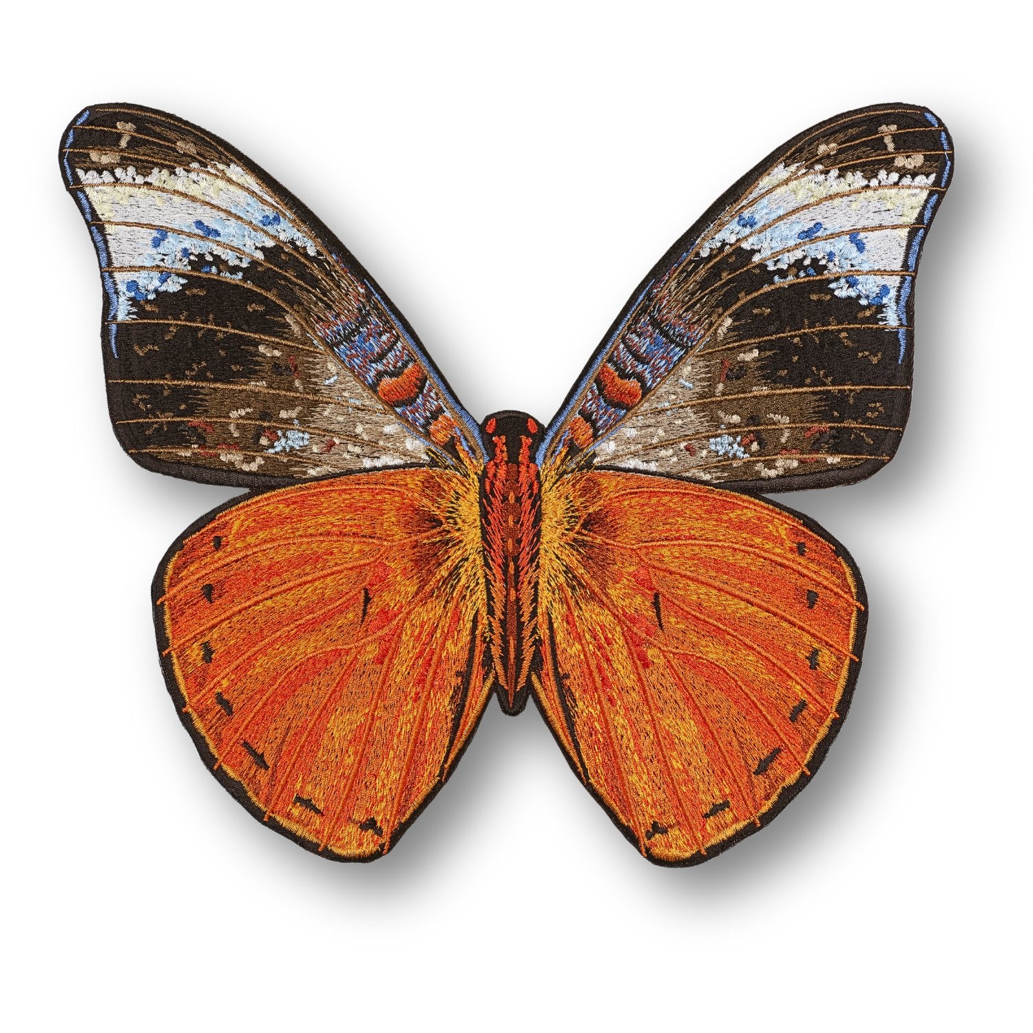 Red Flasher Butterfly #112- Acrylic Mount