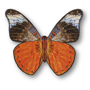 Red Flasher Butterfly #112- Acrylic Mount