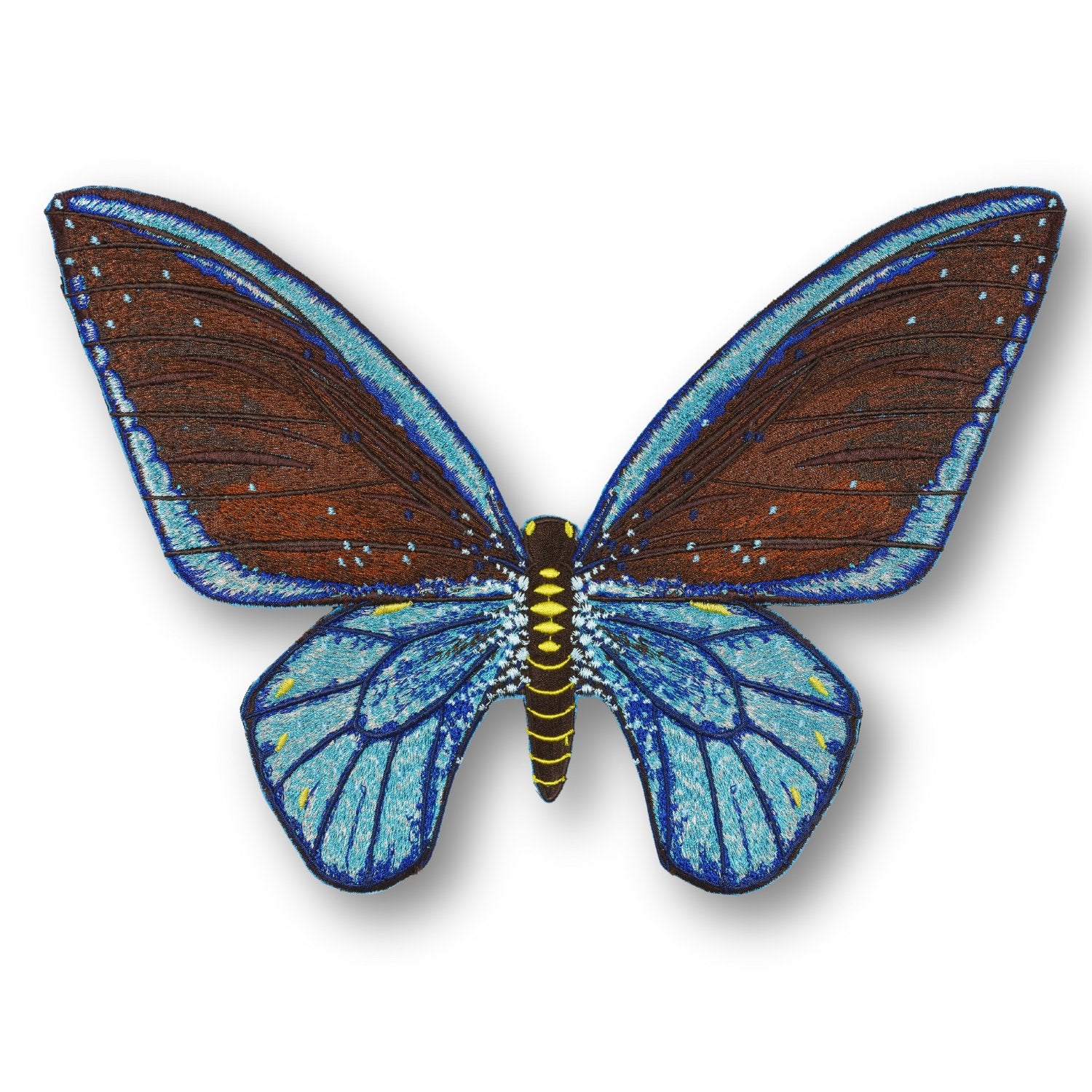 Cairns Birdwing Butterfly #2- Acrylic Mount