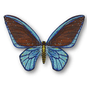 Cairns Birdwing Butterfly #2- Acrylic Mount