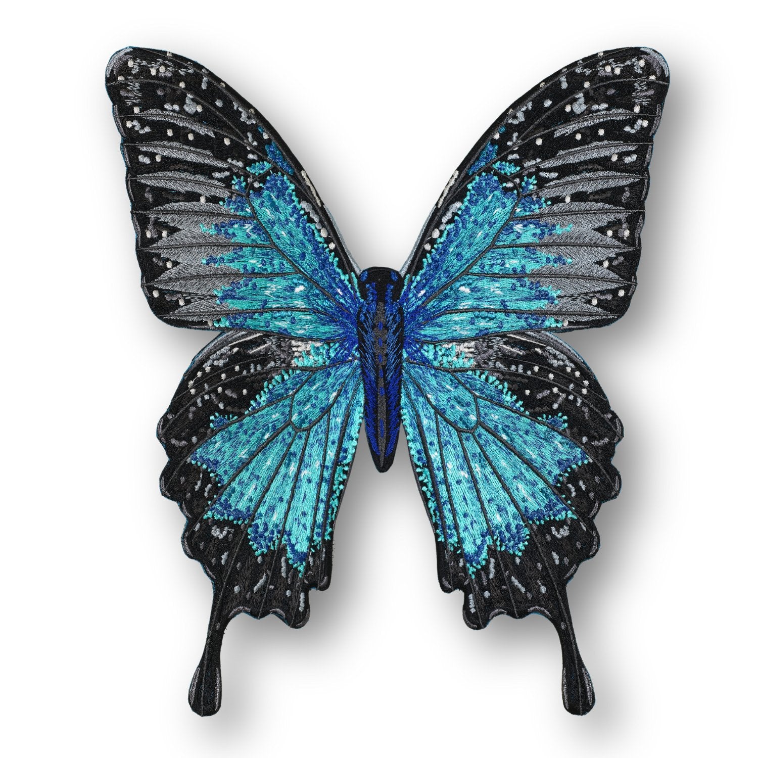 Ulysses Butterfly #116- Acrylic Mount