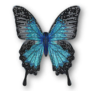 Ulysses Butterfly #116- Acrylic Mount