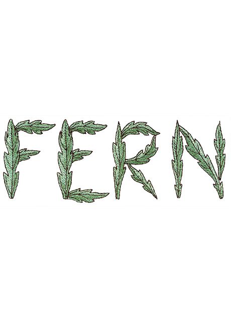 Fern