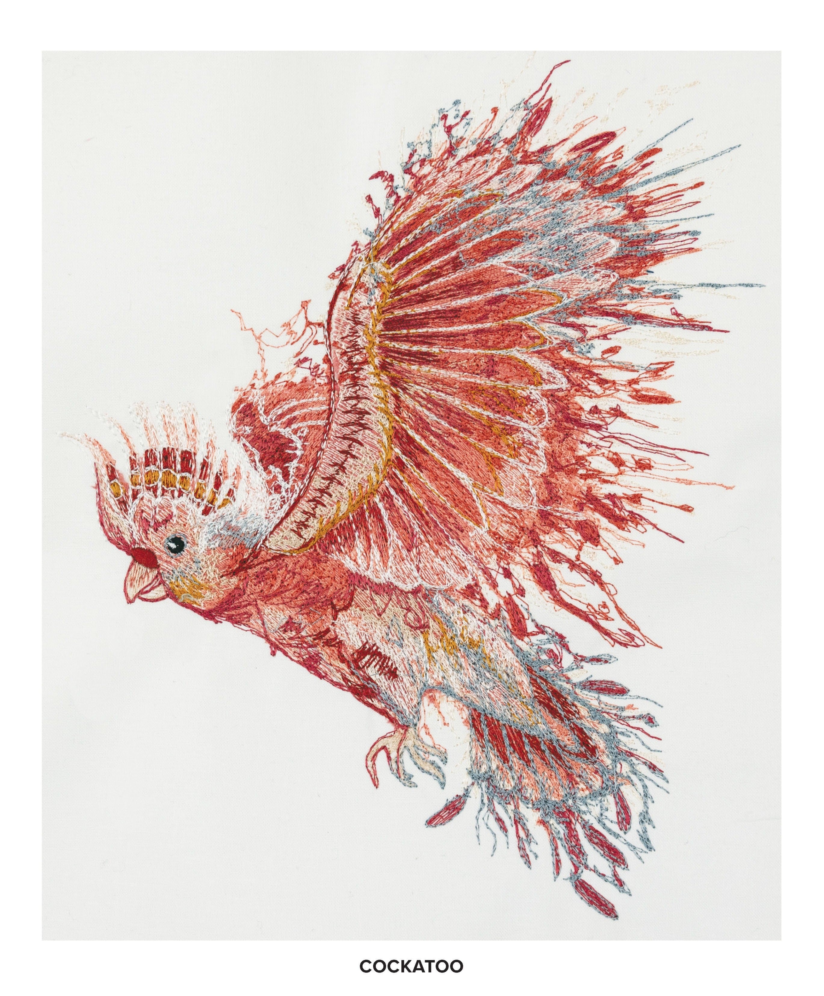 Graphical Abstract Bird Abstract Bird Design