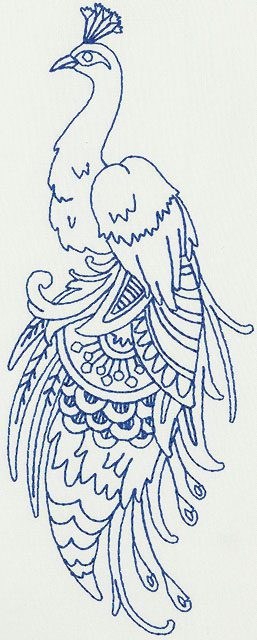 Linework Peacocks