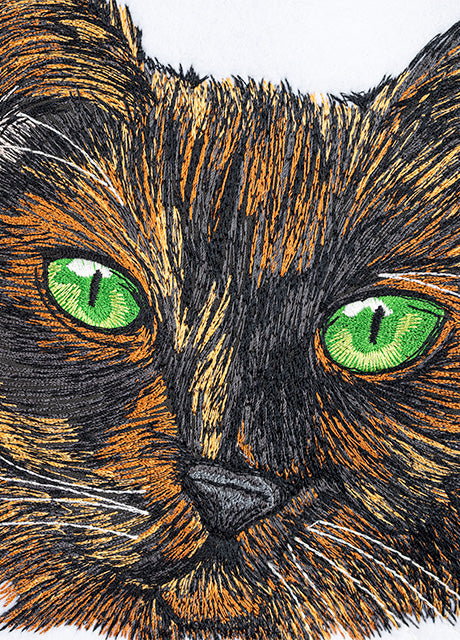 All Access November 2022