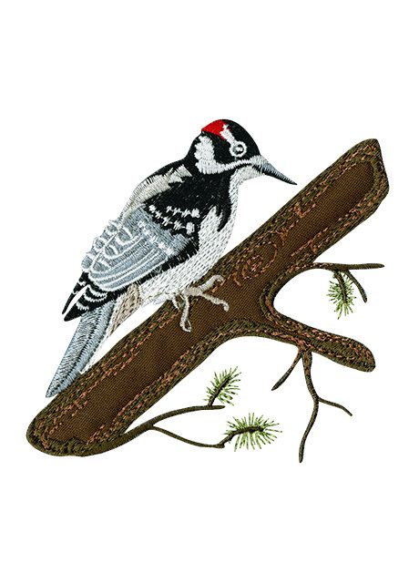 Woodpecker