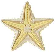 Sea Starfish