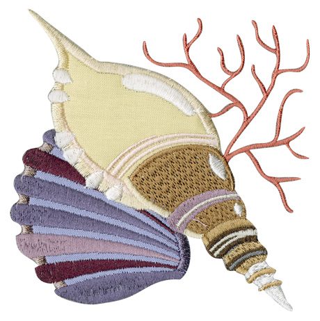 Spiral and Scallop Shells