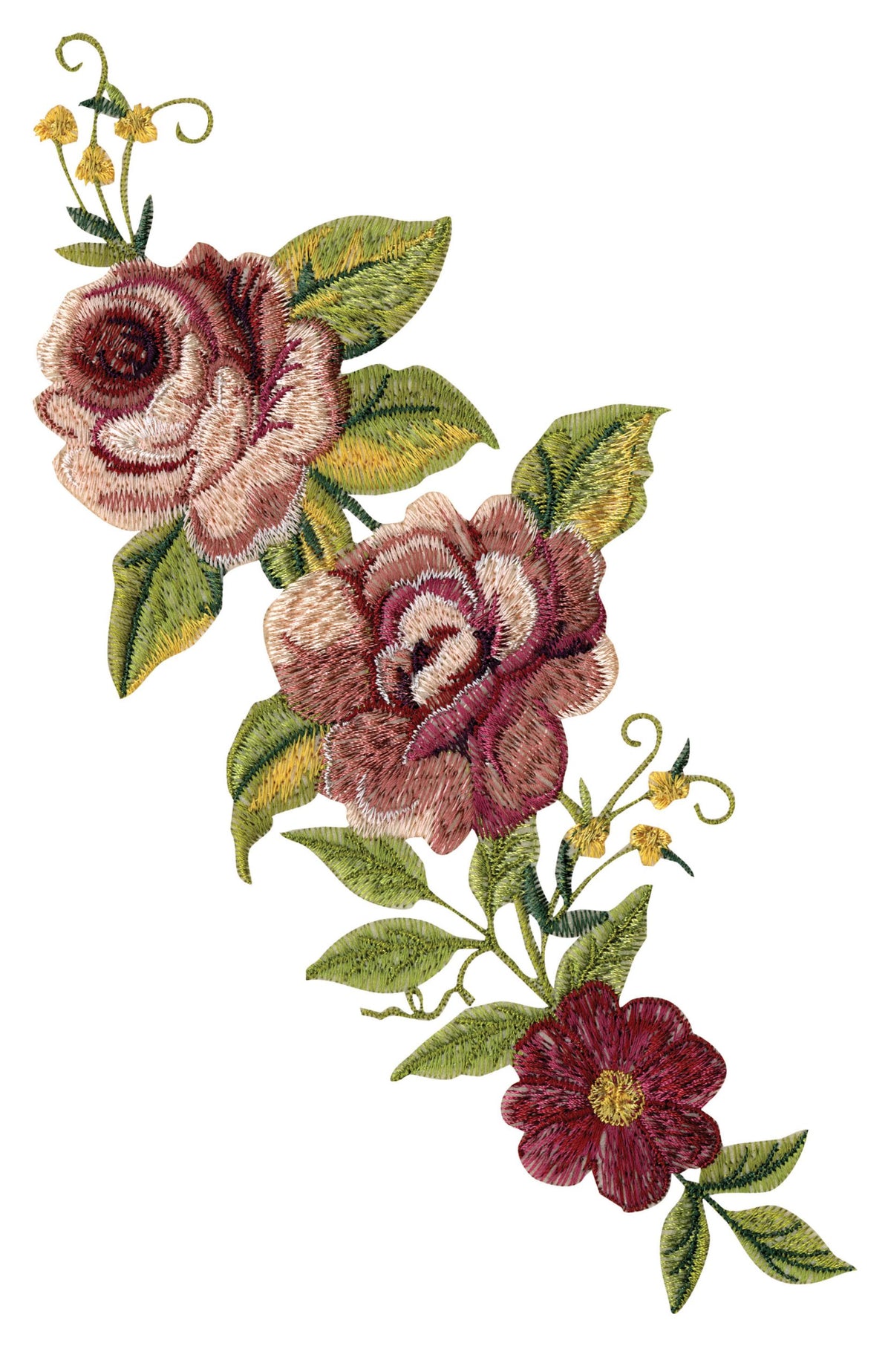Sg Roses Design Designer Roses — Anita Goodesign