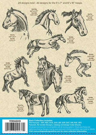 Horse Sketches