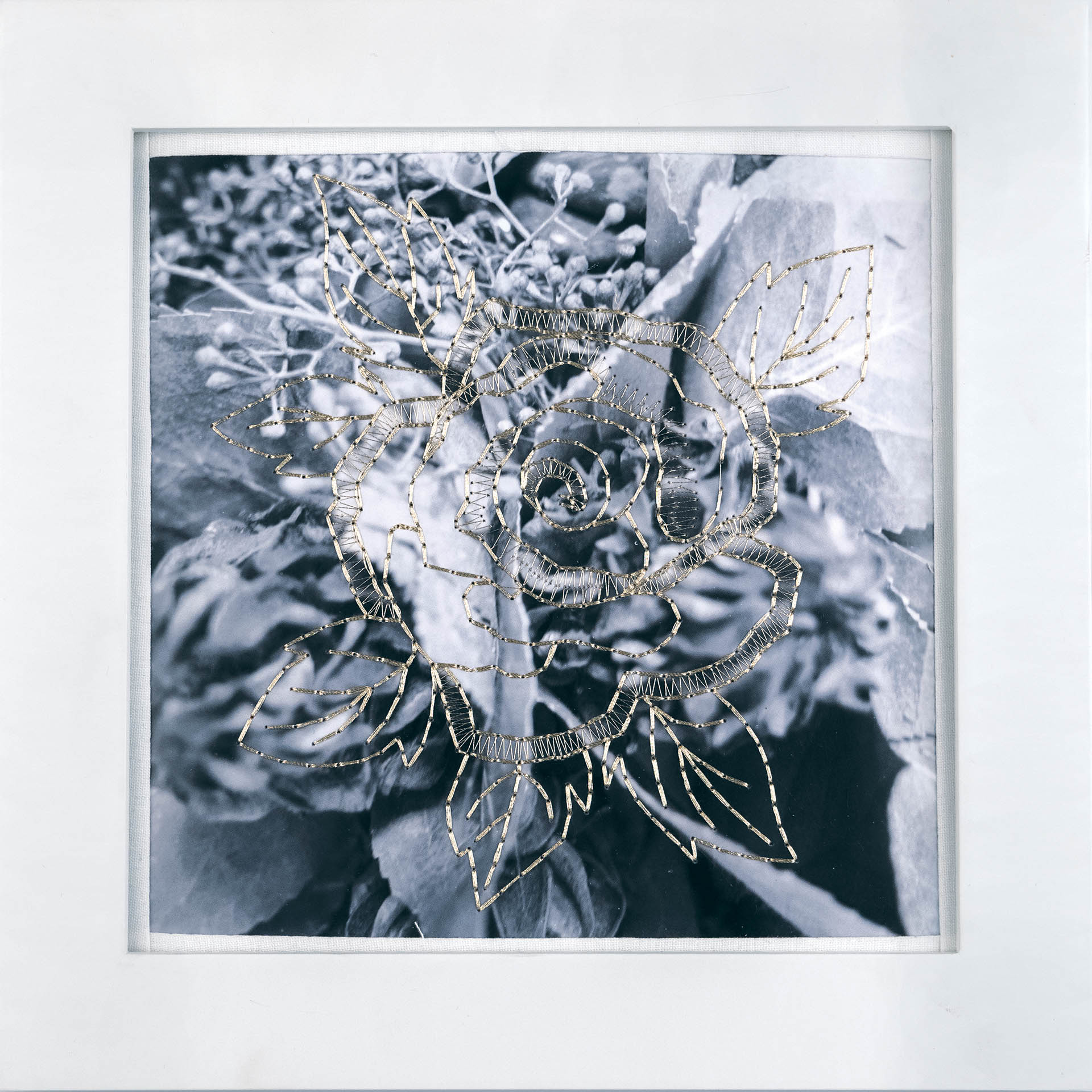 All Access April 2017