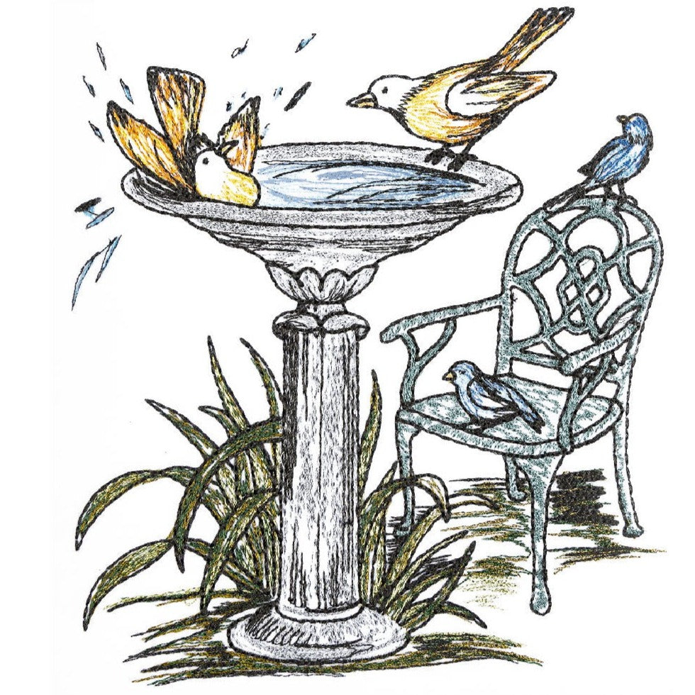 Bird Bath