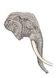Elephant Head