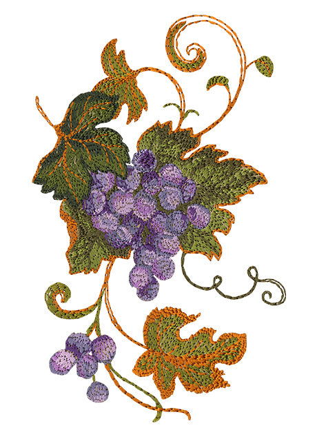 Grape Vine