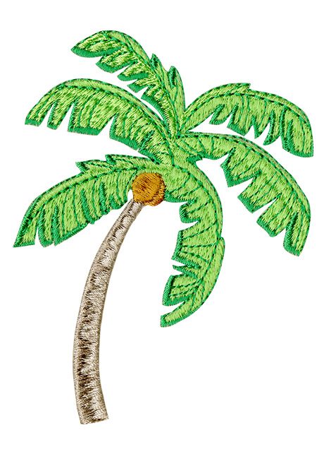 Palm Tree