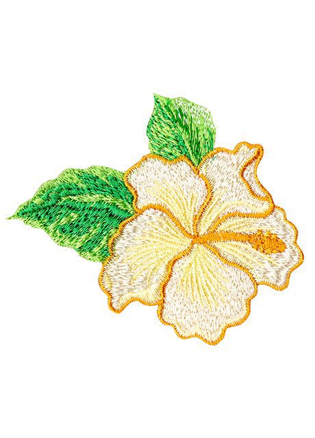 Hawaiian State Flower