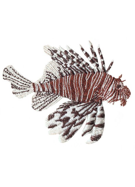 Lionfish