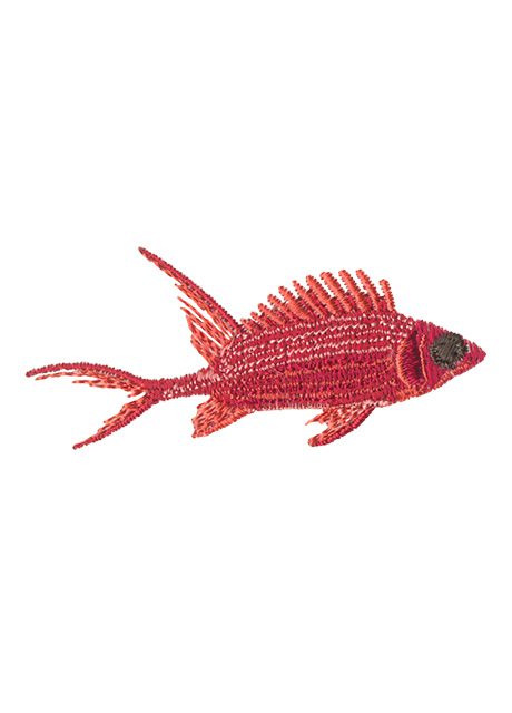 Longspine Squirrelfish