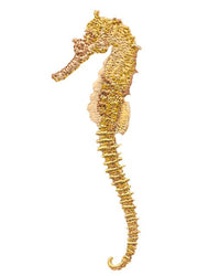 Seahorse