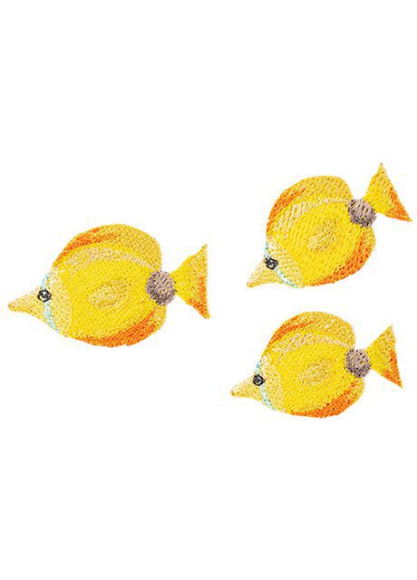 Group of Fish