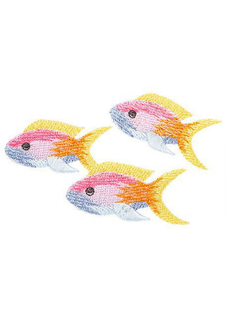 Swimming Rainbow Fish