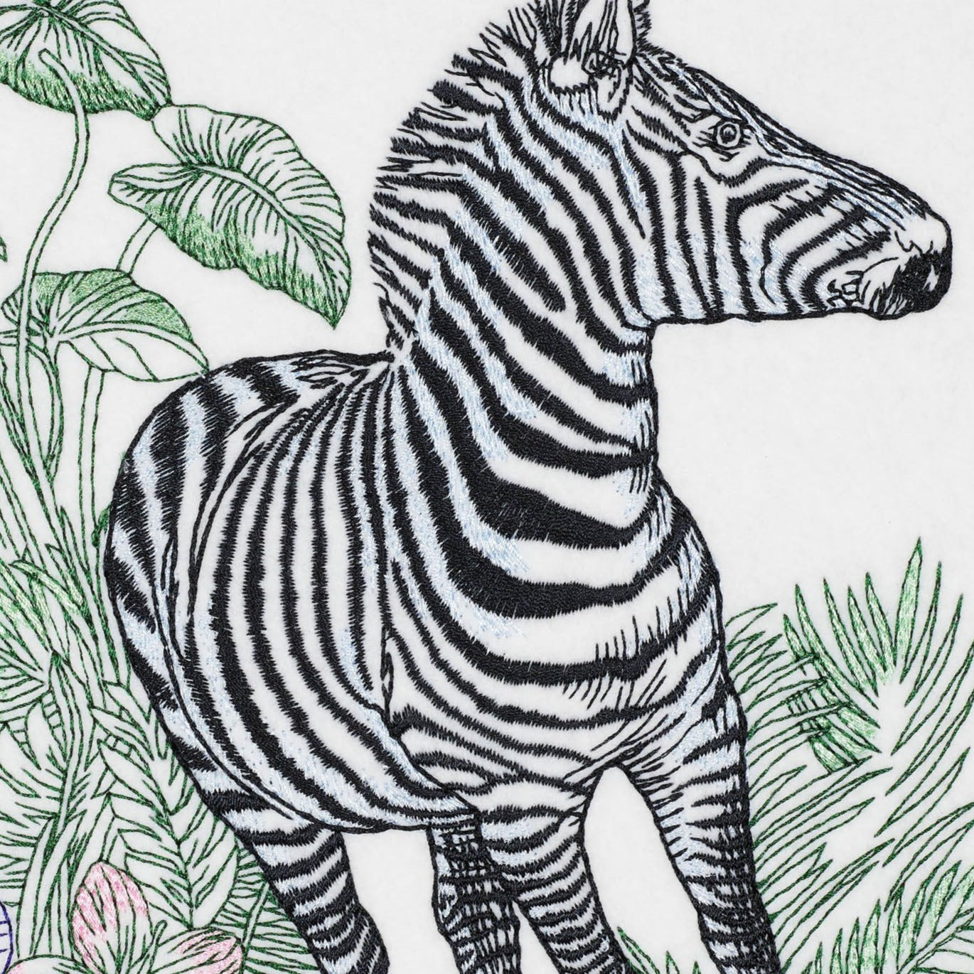 Safari Zebra