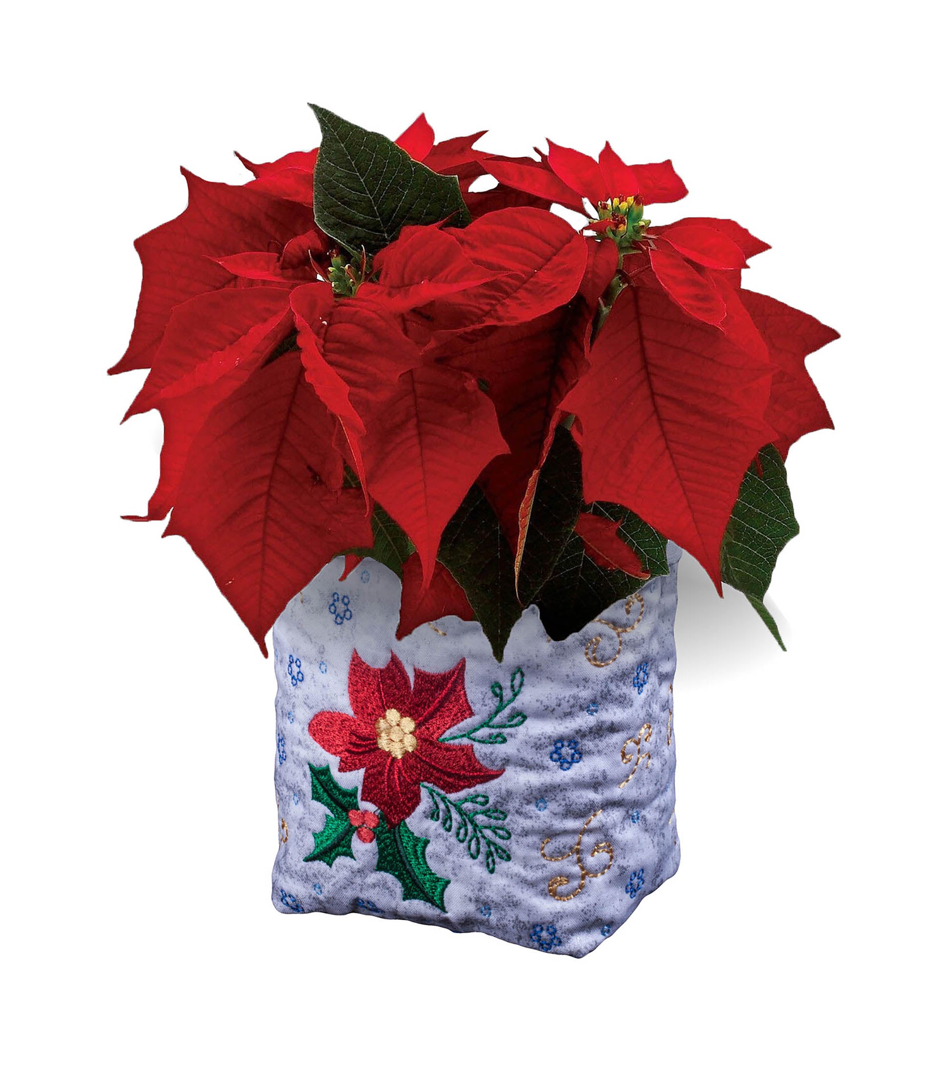 Christmas Plant Cozy