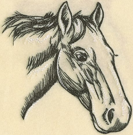 Horse Sketches