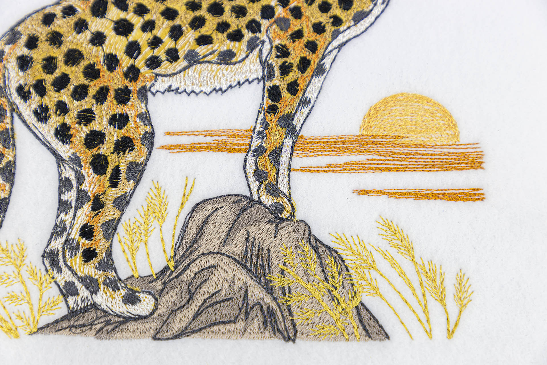 All Access: December 2020