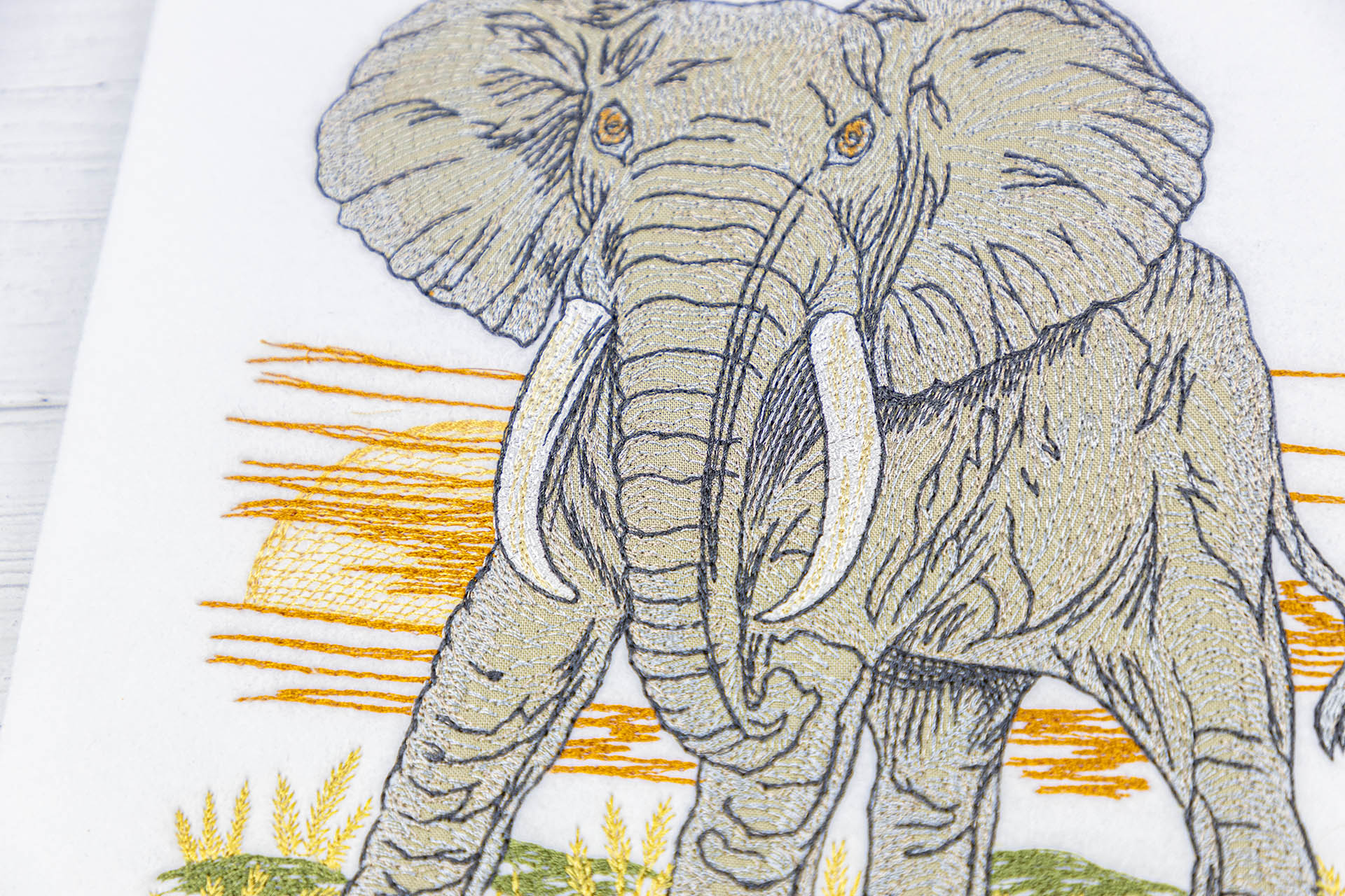 All Access: December 2020