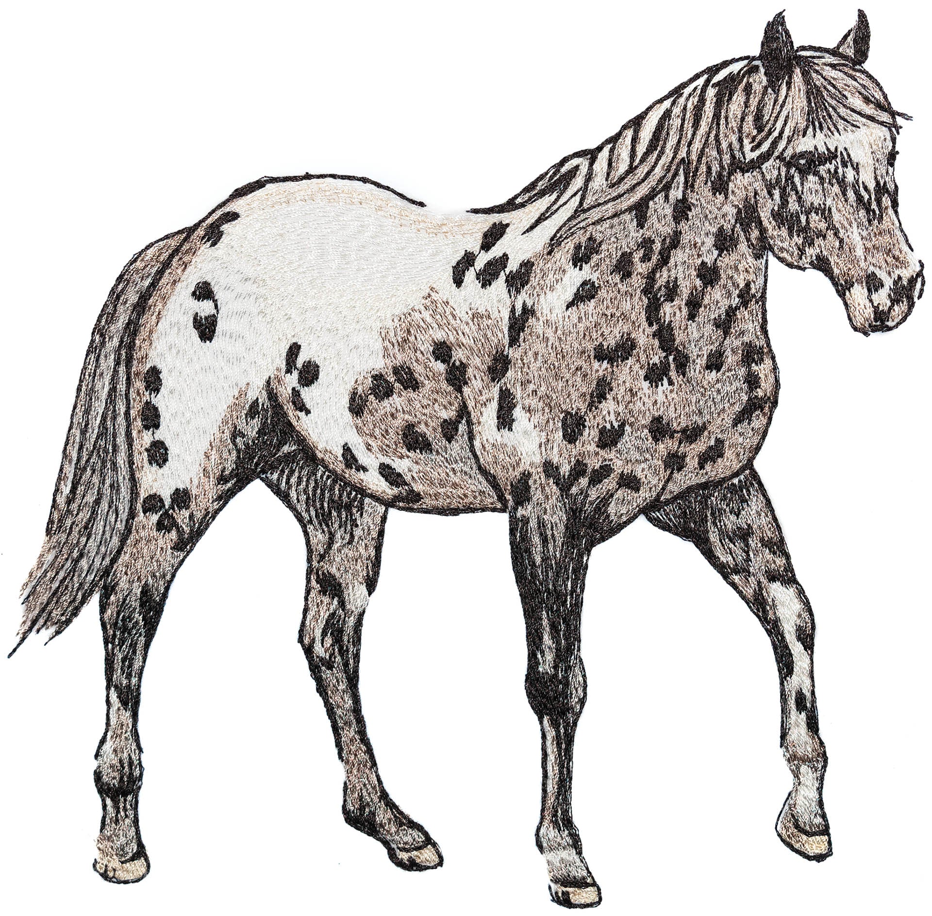 All Access December 2017