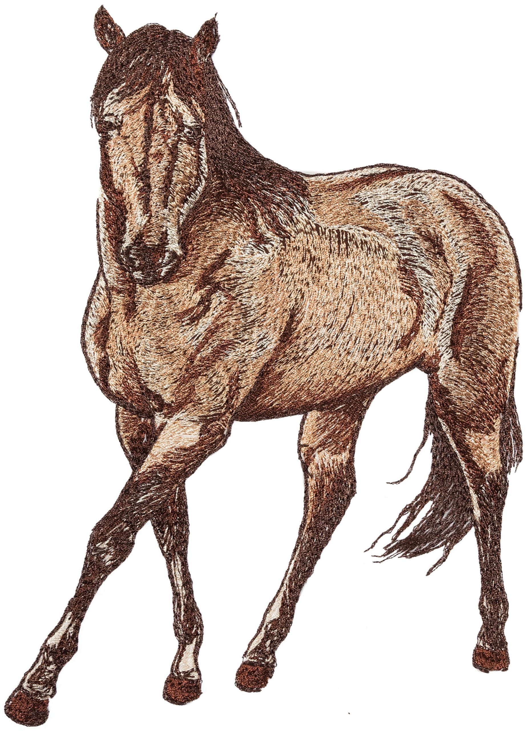 All Access December 2017