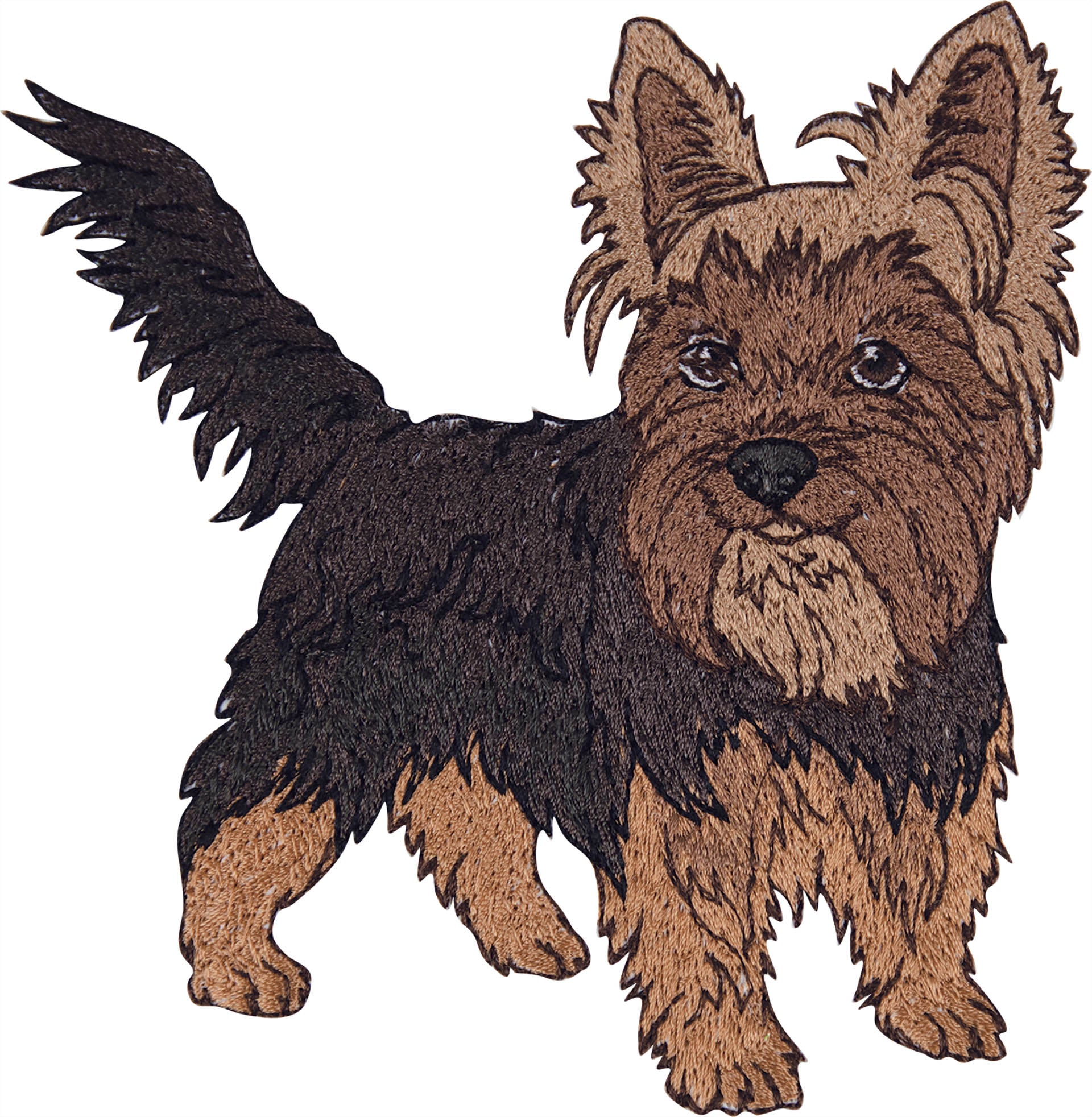 All Access August 2019