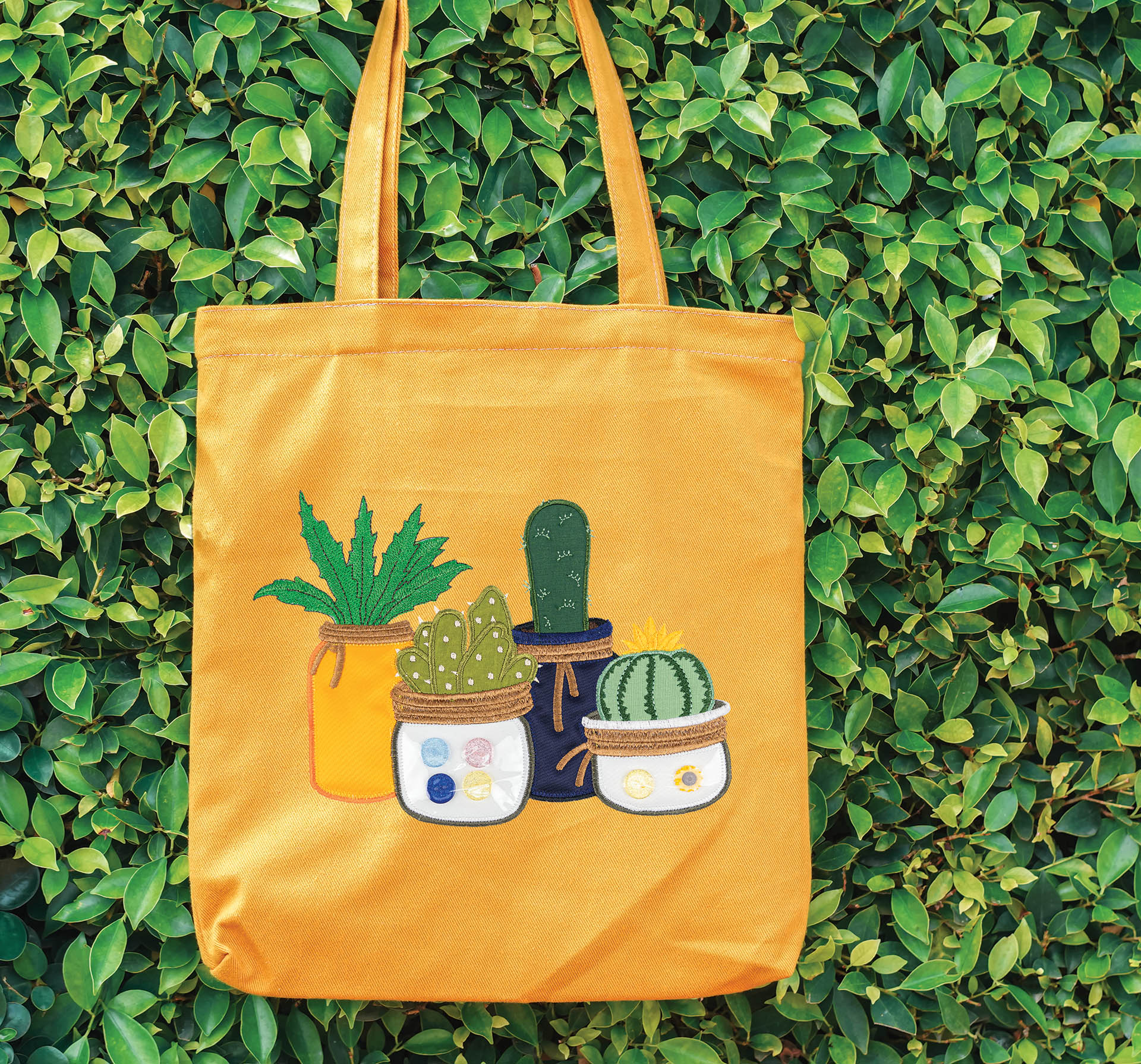 All Access: November 2020