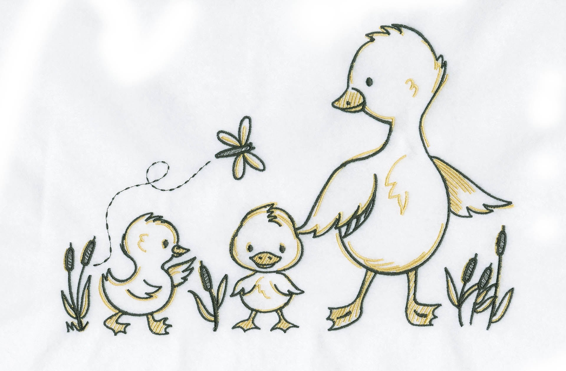 All Access June 2015