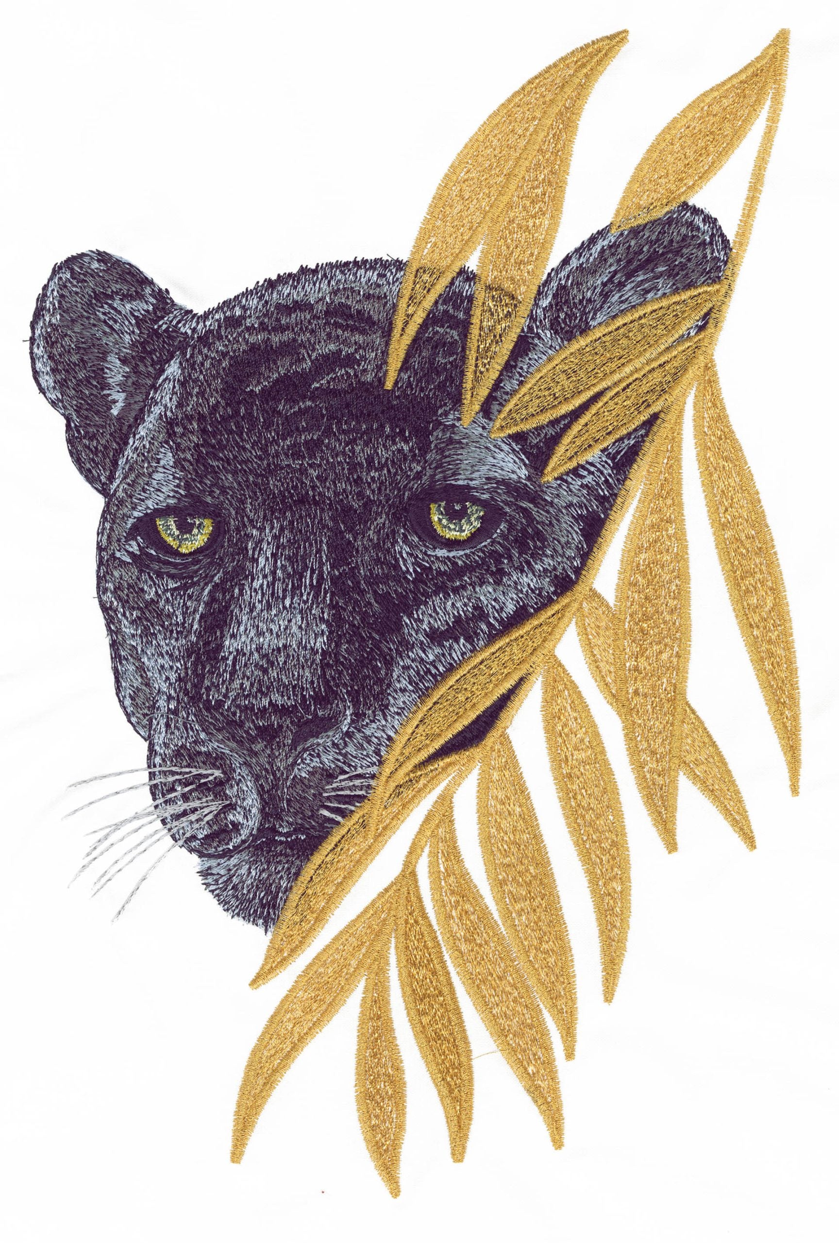 All Access June 2016