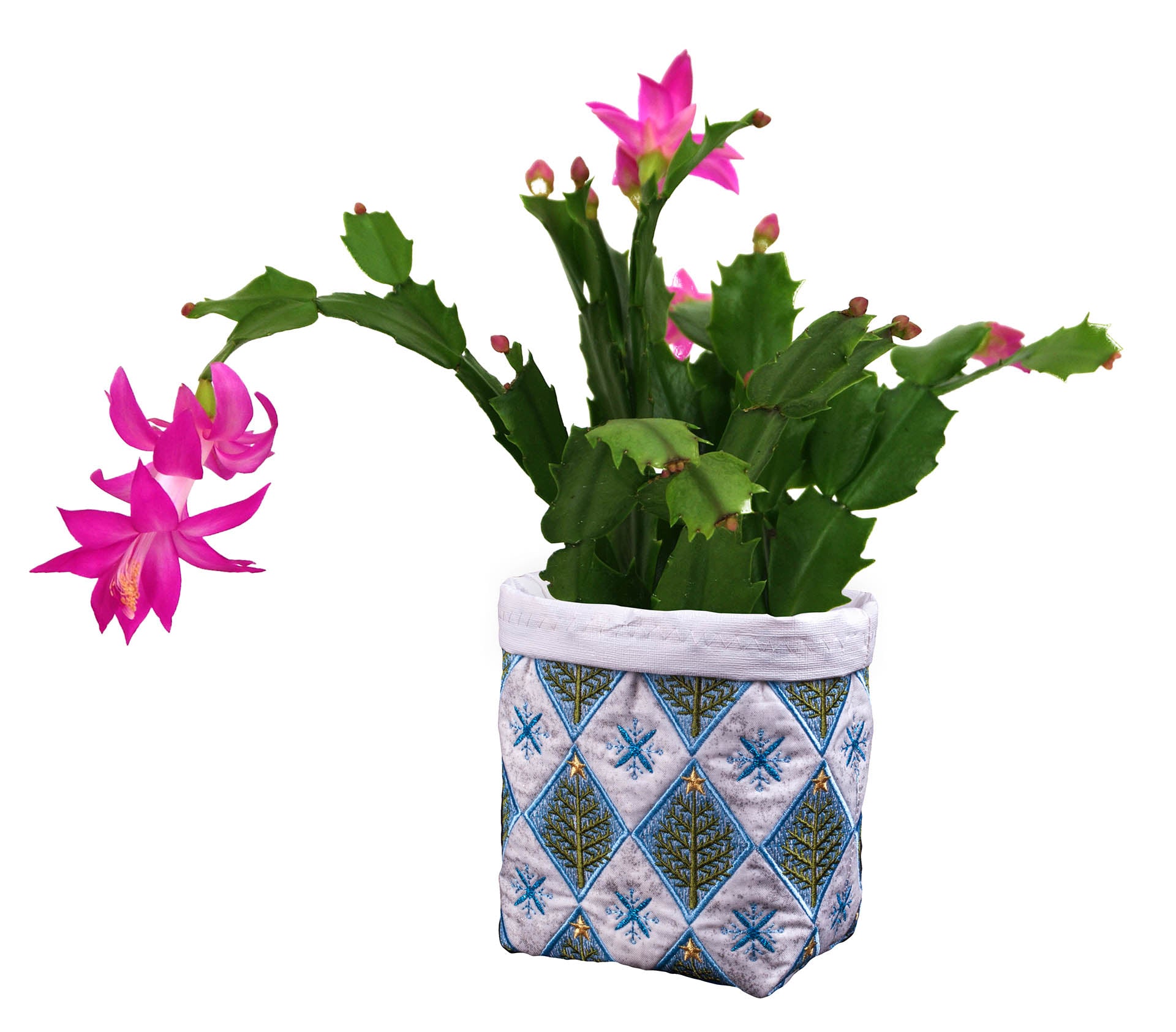 All Access July 2015